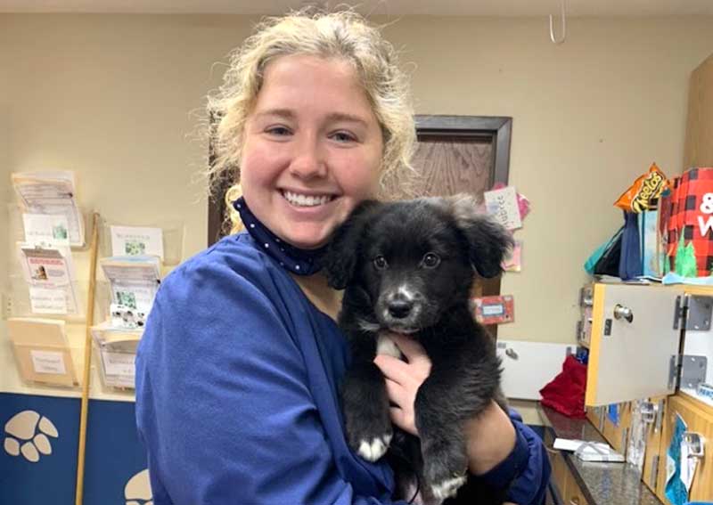 Carousel Slide 4: Puppy and Kitten Wellness Care