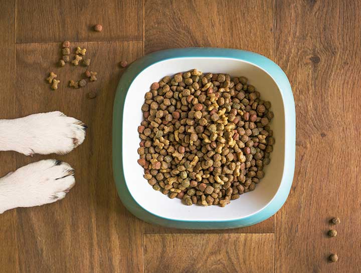 Pet Nutrition